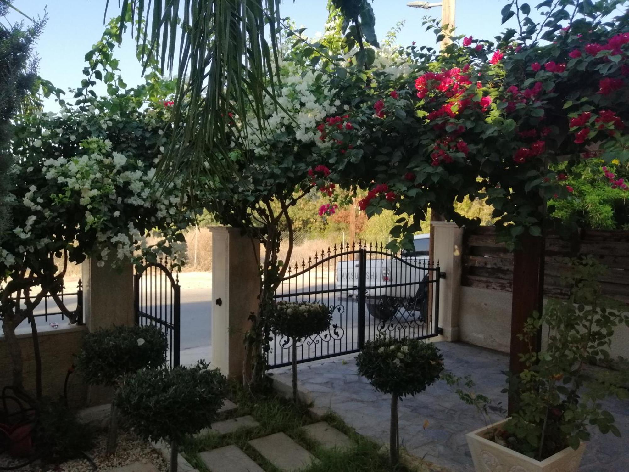 Villa Myria Paphos Kamer foto
